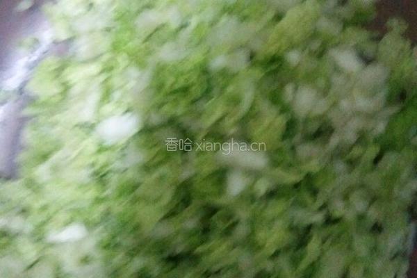 肉丸的做法图解3