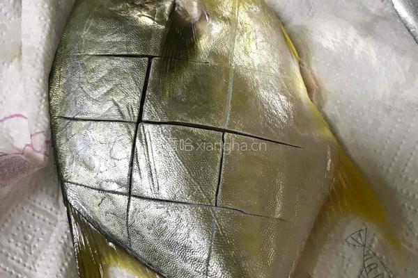 香煎金鲳鱼的做法图解5