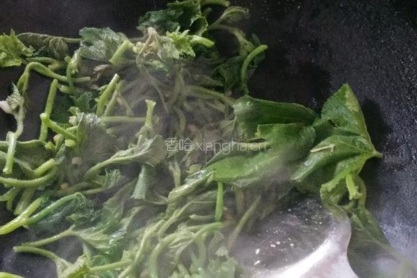 蒜蓉南瓜叶的做法图解4