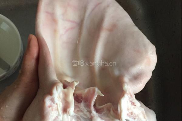 卤猪耳朵的做法图解1