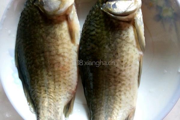 鲫鱼豆腐汤的做法图解1