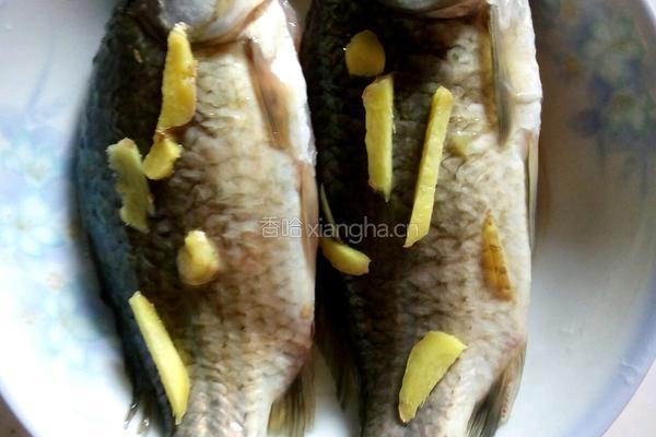 鲫鱼豆腐汤的做法图解4