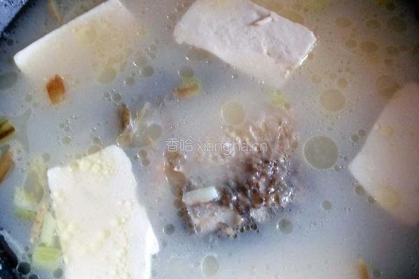 鲫鱼豆腐汤的做法图解8