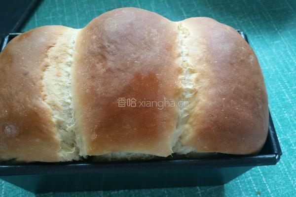 提子土司的做法图解8
