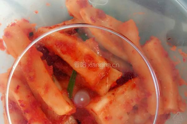 泡菜的做法图解4