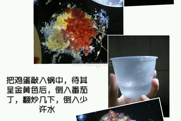 中式西红柿鸡蛋炒螺丝面的做法图解7