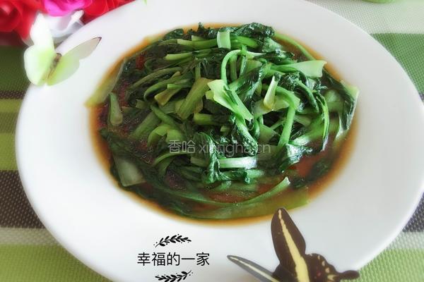 减肥谱--蚝油青菜的做法图解7