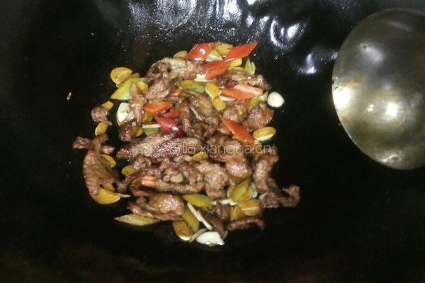 蒜子烧牛肉的做法图解4