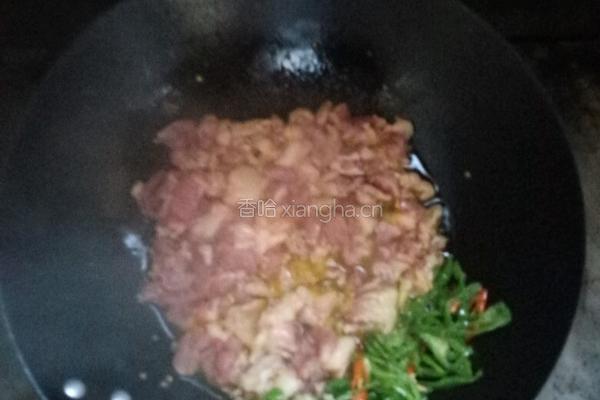 青椒炒肉片的做法图解6