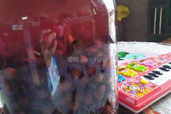 捻子酒的做法图解4