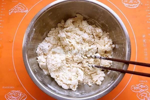 梅豆角肉包的做法图解1