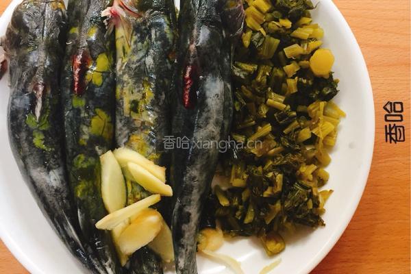 雪白黄刺鱼汤的做法图解1