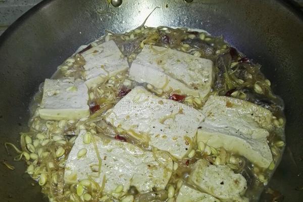 豆腐豆芽烩肉的做法图解6