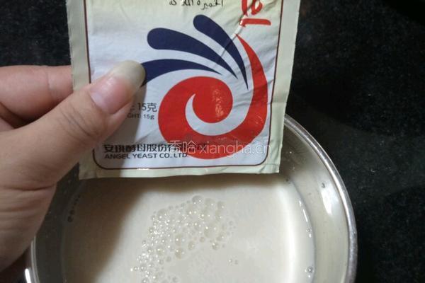 可可粉馒头的做法图解2