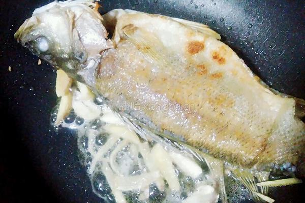 海鲈鱼的做法图解4