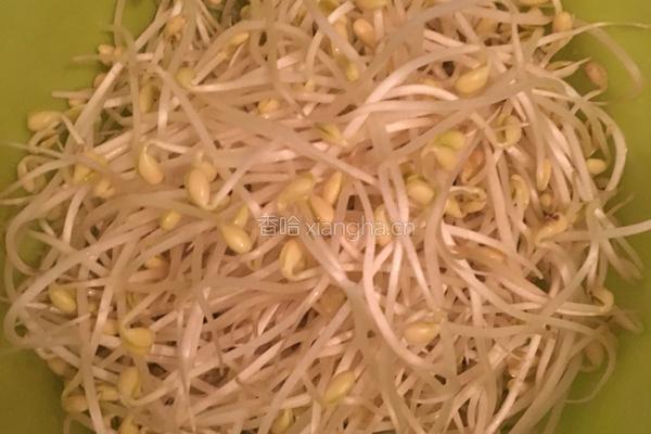 干辣椒炒黄豆芽的做法图解1