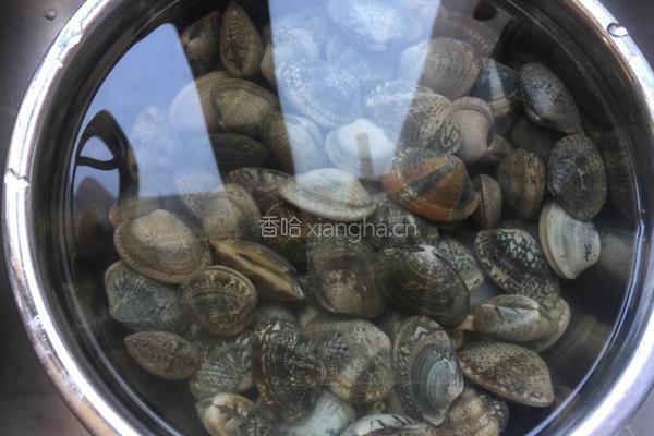 蛤蜊蛋花汤的做法图解1