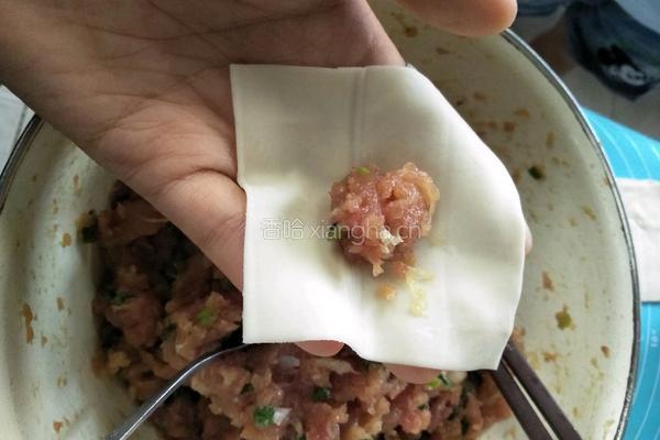 香葱鲜肉馄钝的做法图解9