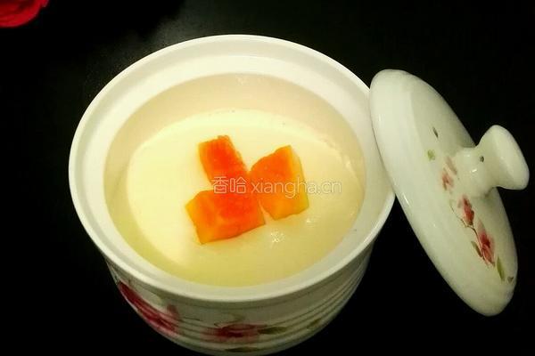 木瓜双皮奶的做法图解11