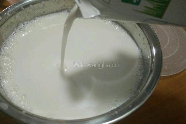 自制酸奶的做法图解4