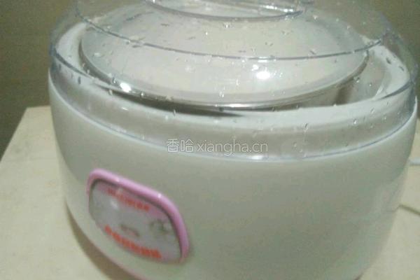 自制酸奶的做法图解5