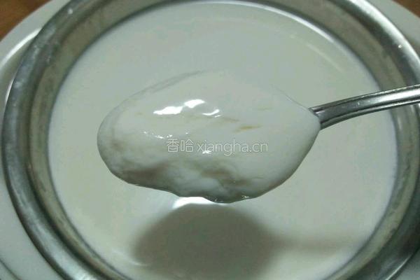 自制酸奶的做法图解7