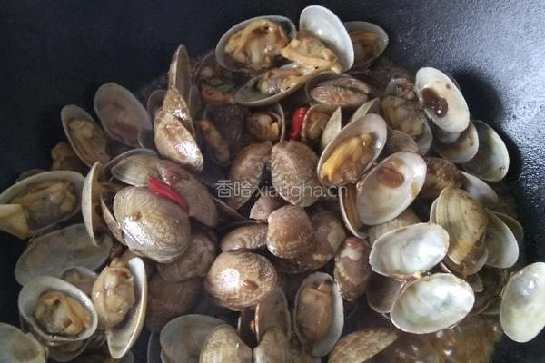 简单爆炒花蛤的做法图解5