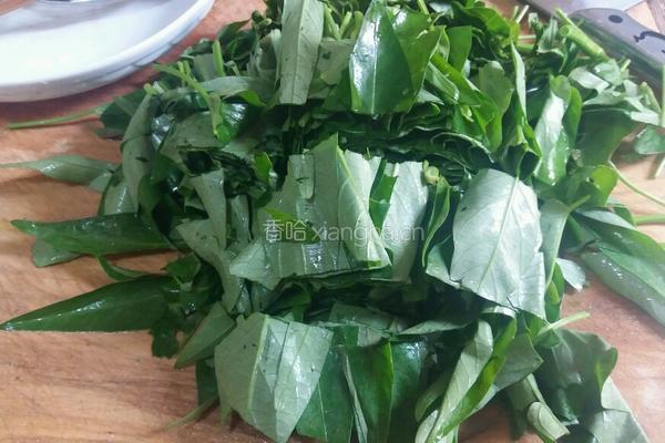 凉拌空心菜的做法图解3