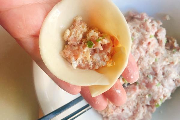 豆腐肉煎饺的做法图解4