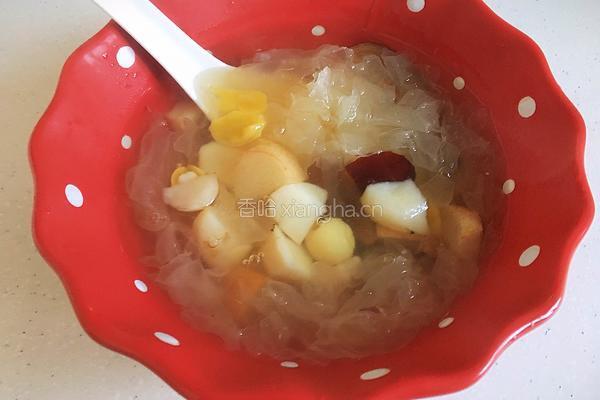 雪梨银耳糖水的做法图解14
