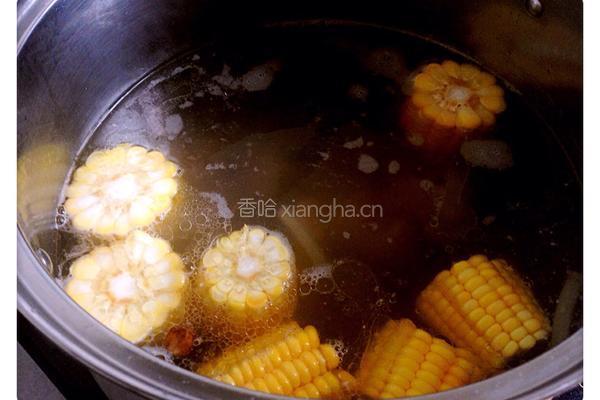 冬瓜薏米排骨汤的做法图解8