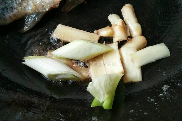 鲜菇鲫鱼汤的做法图解4