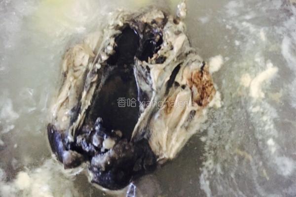 黑豆乌鸡汤的做法图解6