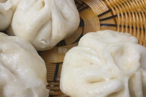 白萝卜肉包子