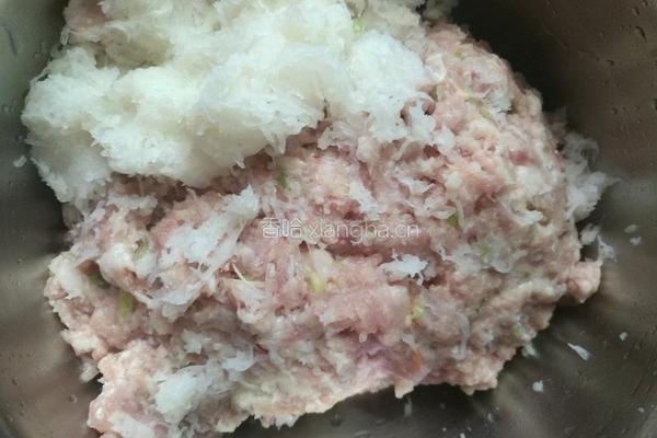 白萝卜肉包子的做法图解5