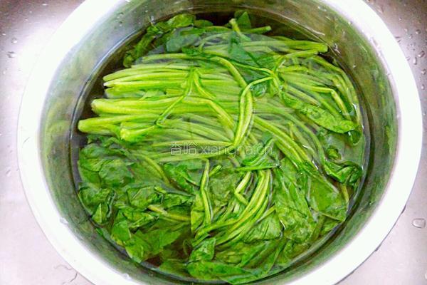 蒜香菠菜的做法图解5