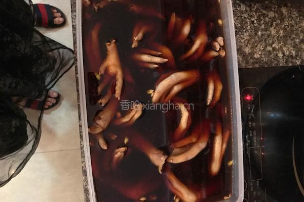 自制泡鸭爪的做法图解7