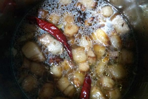 海带冬瓜猪肉汤的做法图解8