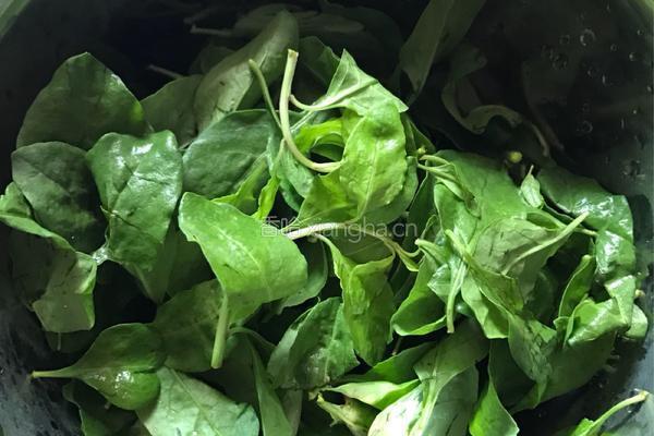 枸杞叶瘦肉汤的做法图解2