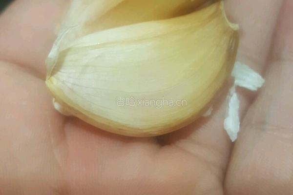 开胃娃娃菜的做法图解3