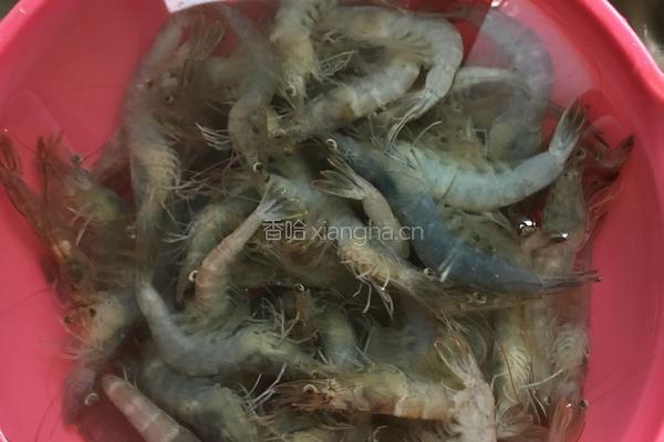 蚝油虾的做法图解1