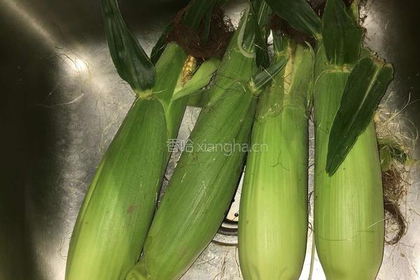 芒果味的香甜玉米的做法图解1