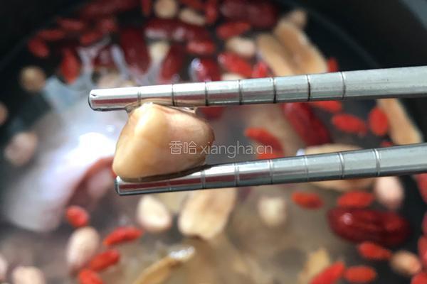 花胶瑶柱花生煲鸡汤的做法图解6