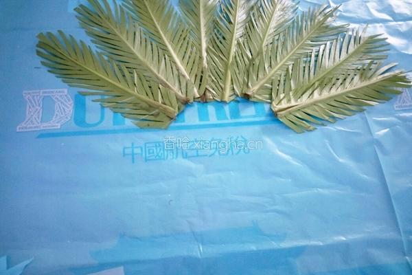 仿真孔雀开屏的做法图解6