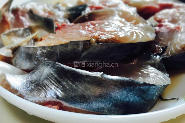 香煎大马胶的做法图解1
