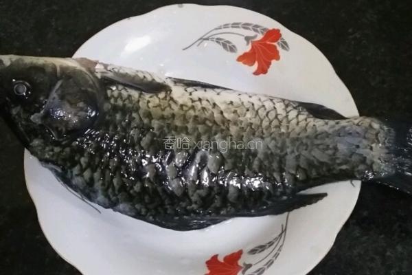 鲫鱼汤（一鱼两吃）的做法图解1
