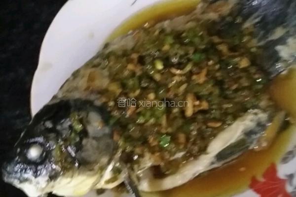 鲫鱼汤（一鱼两吃）的做法图解17
