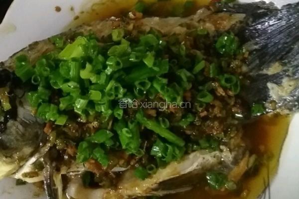 鲫鱼汤（一鱼两吃）的做法图解18