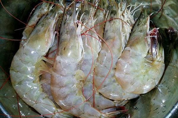 香煎虾饼的做法图解1