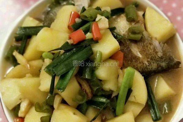 土豆烧鱼的做法图解6